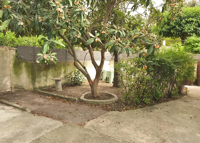 Studio Independant Avec Jardin